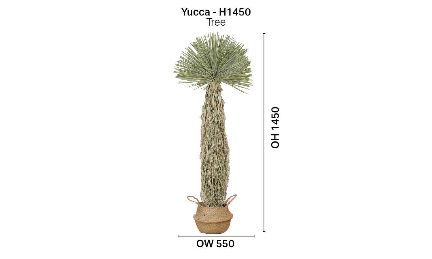 Tree - Yucca H1450